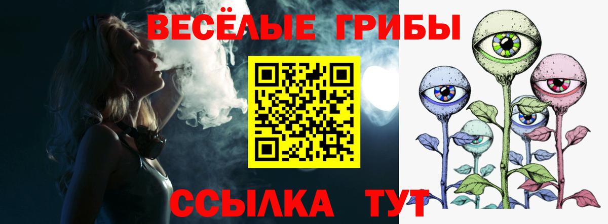 Псилоцибиновые грибы Cubensis Белебей
