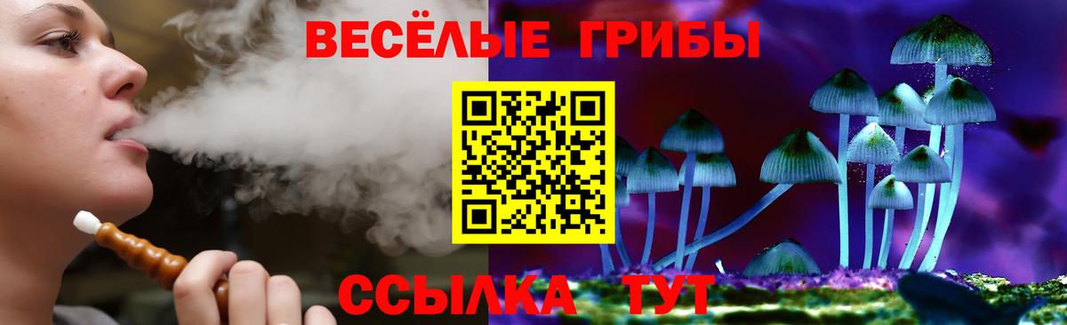 Псилоцибиновые грибы Psilocybe  Вход с VPN  купить наркоту  Белебей 